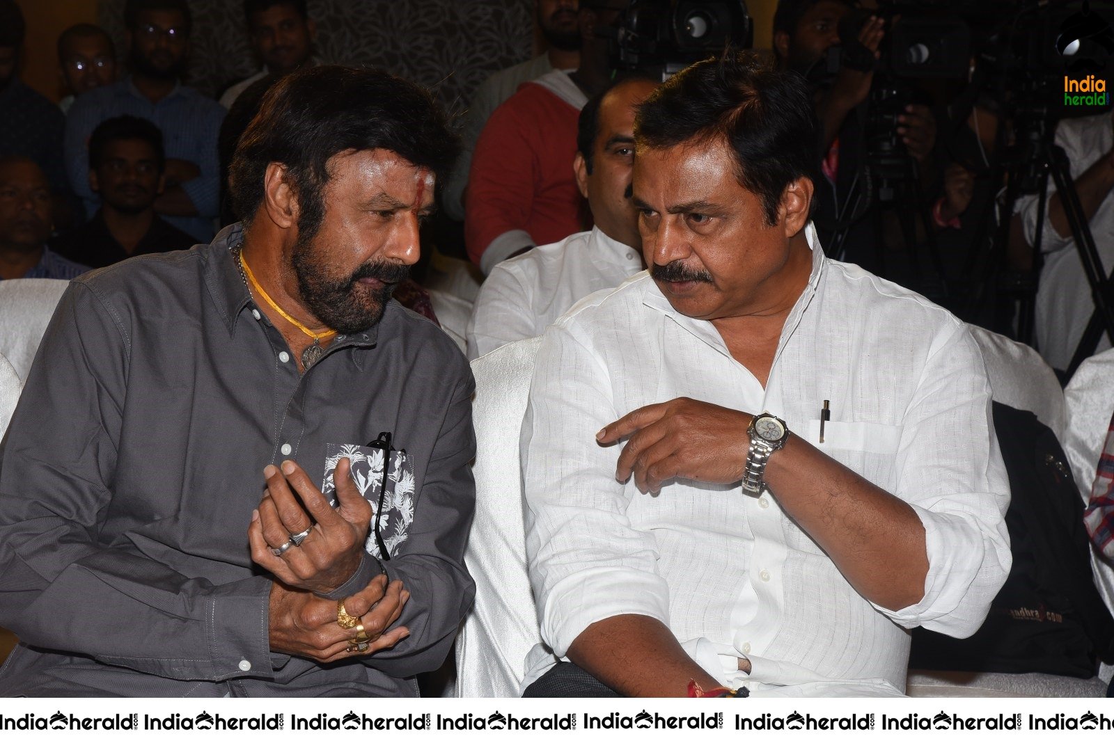 Ruler Movie Success Meet Stills Set 4