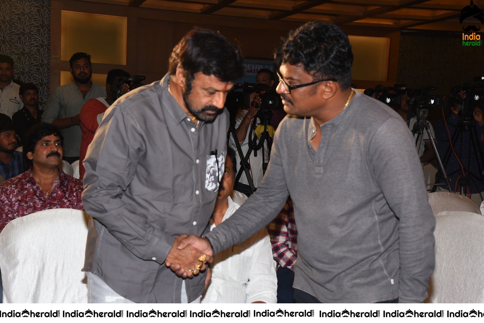 Ruler Movie Success Meet Stills Set 4