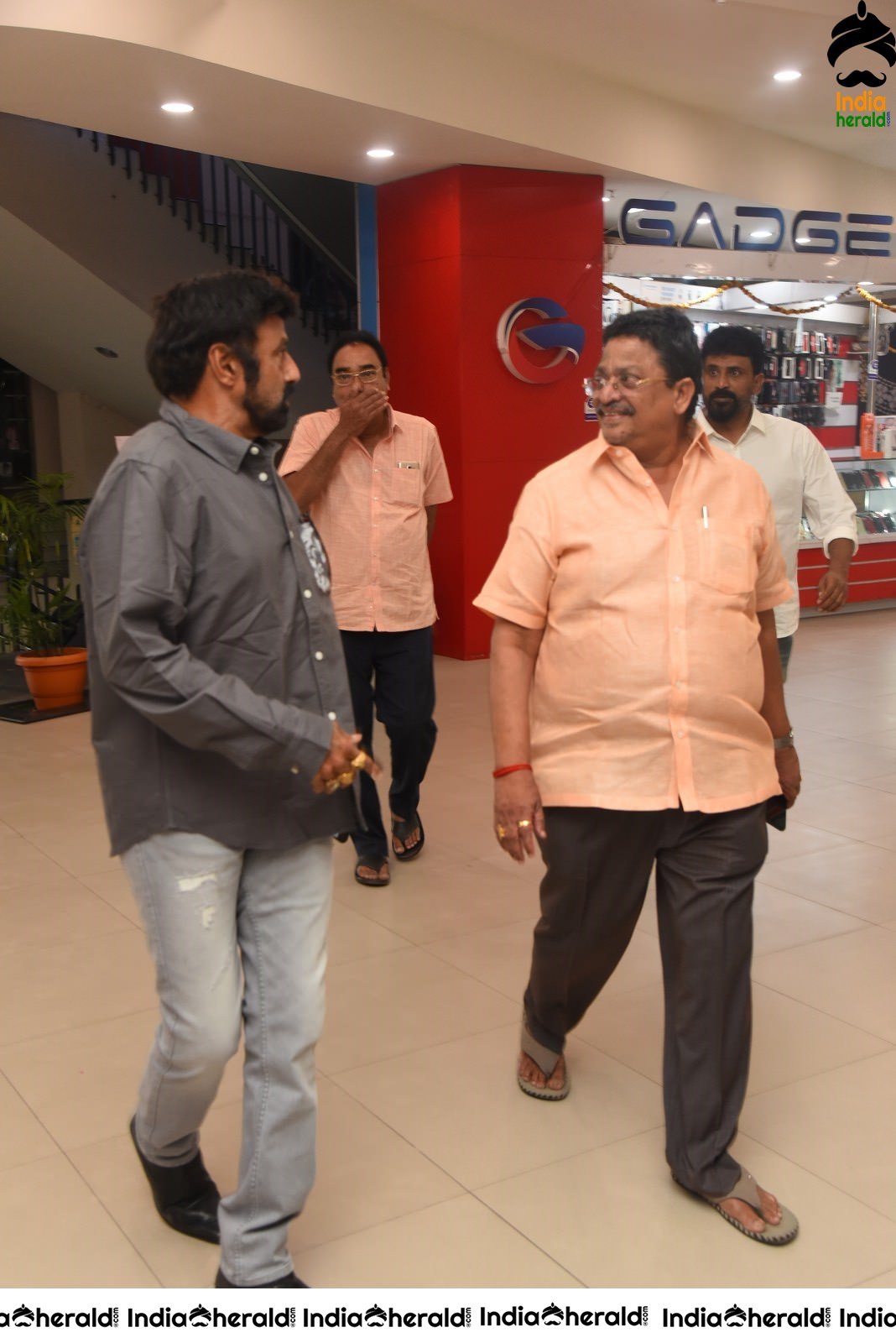 Ruler Movie Success Meet Stills Set 4