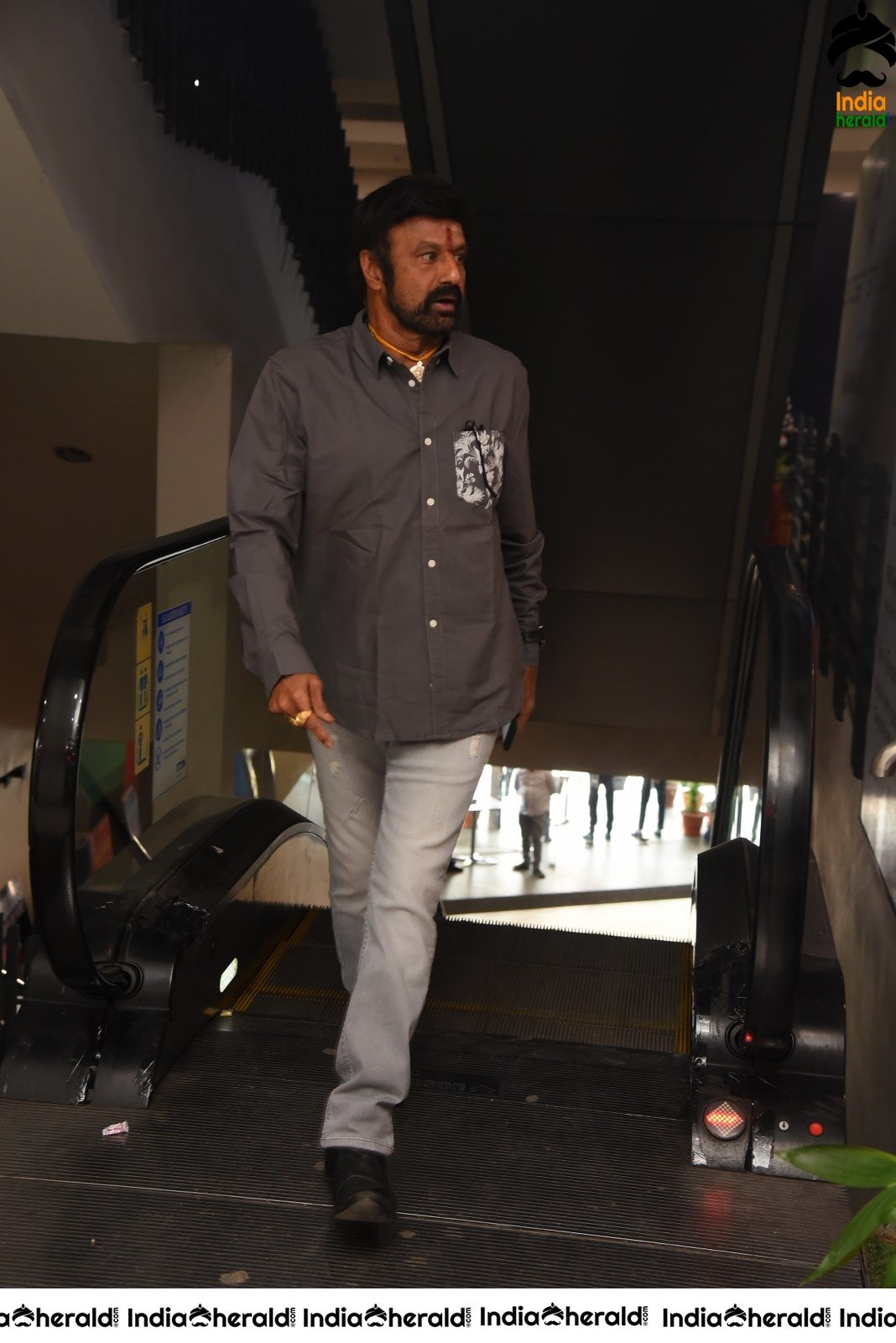 Ruler Movie Success Meet Stills Set 4