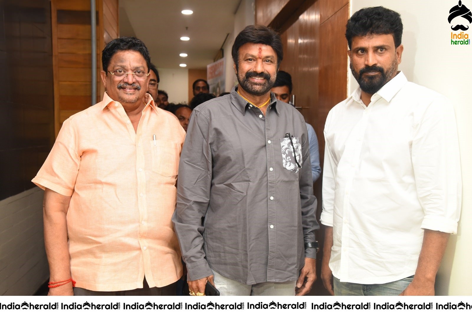 Ruler Movie Success Meet Stills Set 4