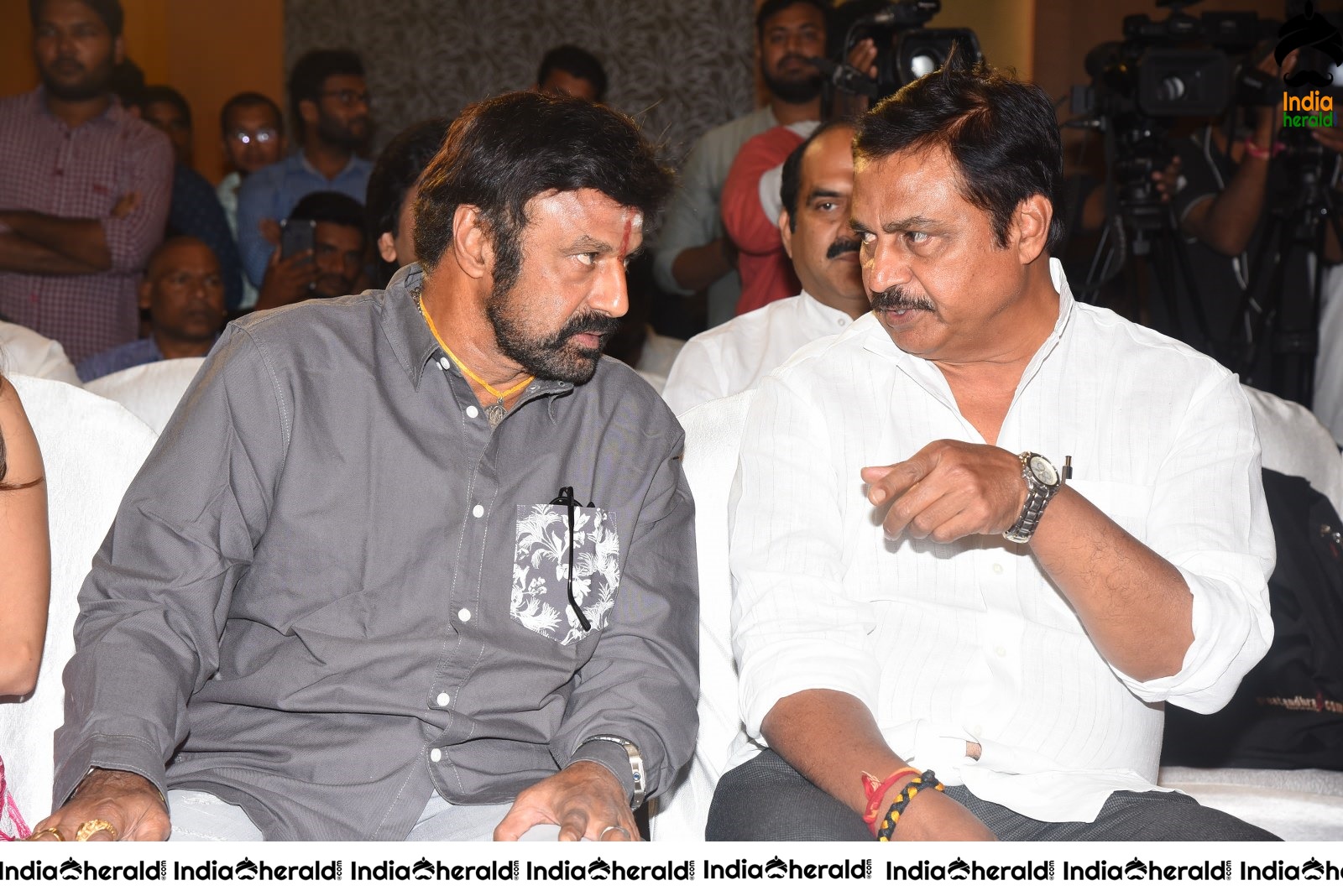 Ruler Movie Success Meet Stills Set 5