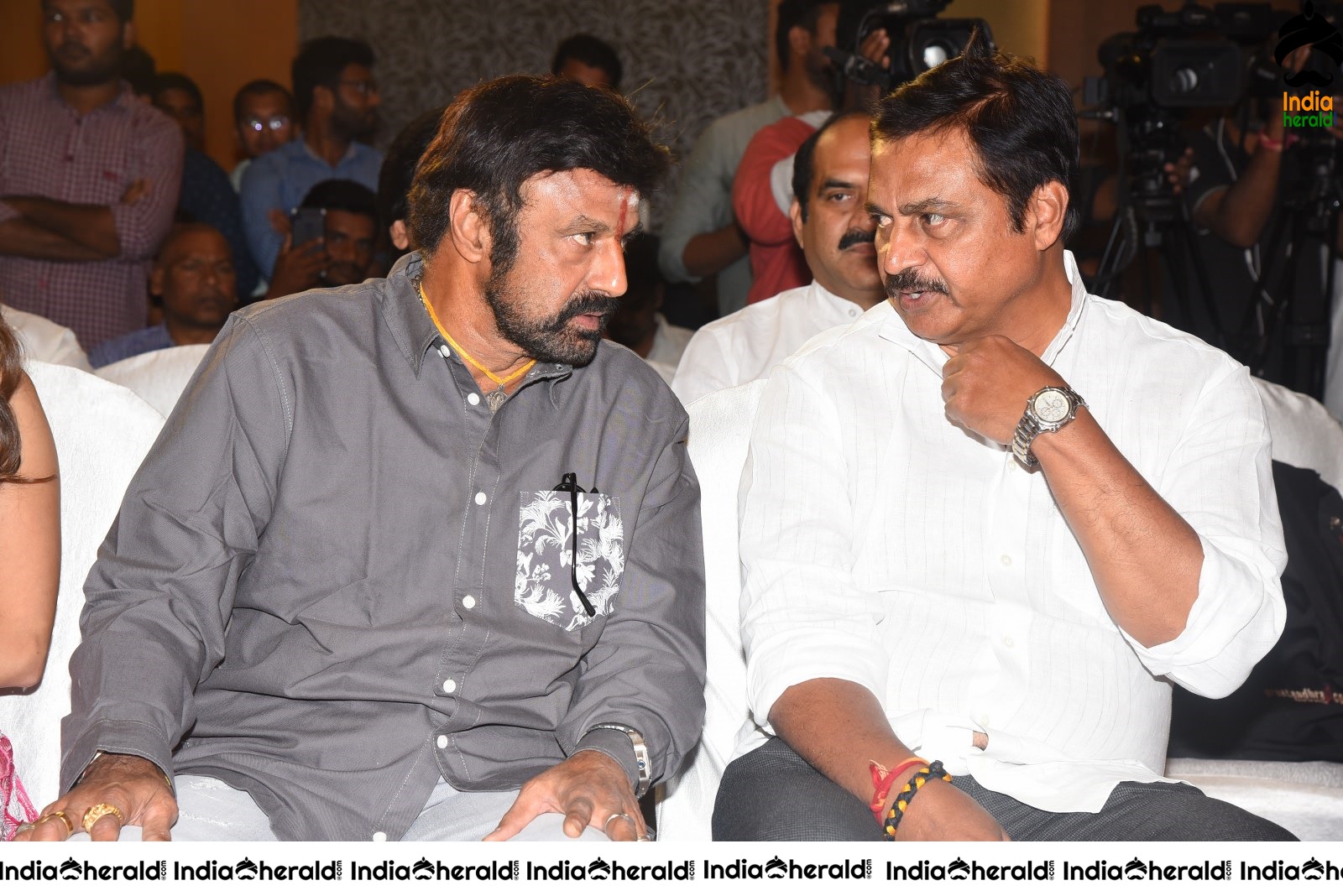 Ruler Movie Success Meet Stills Set 5