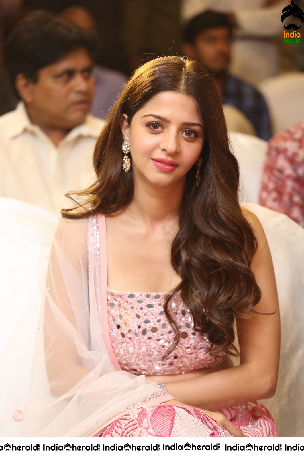 Vedika Shows her Hot Waistline at Ruler Success Event Set 1