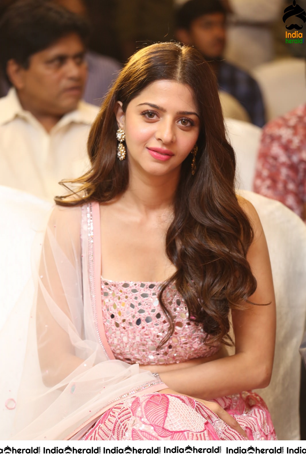 Vedika Shows her Hot Waistline at Ruler Success Event Set 1