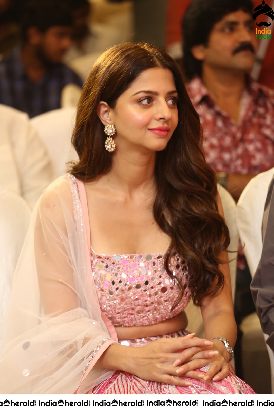 Vedika Shows her Hot Waistline at Ruler Success Event Set 1