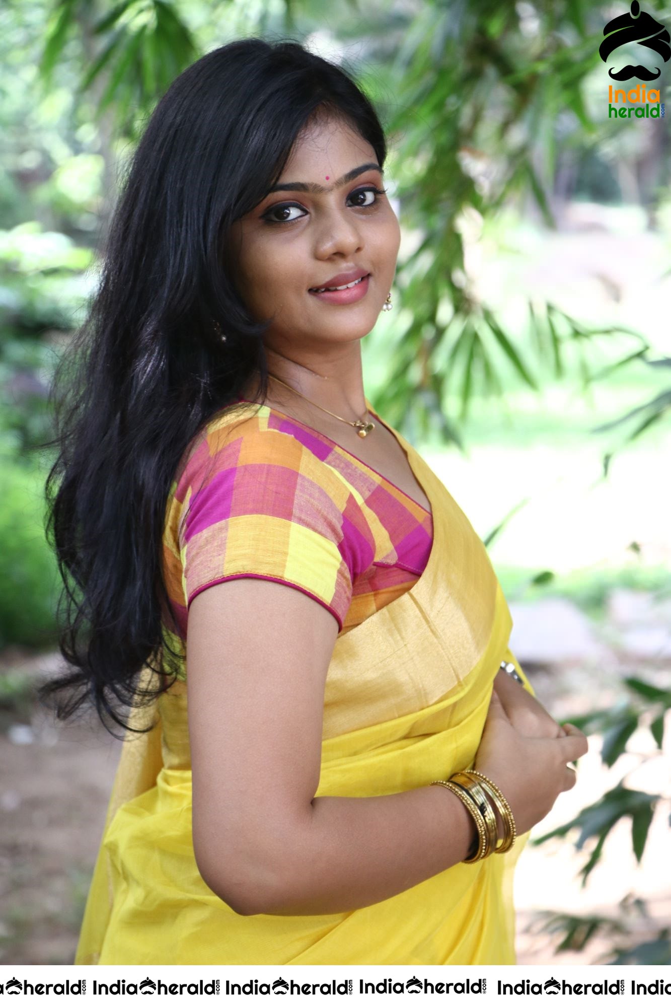 Veerapuram 220 Audio Launch Stills Set 1