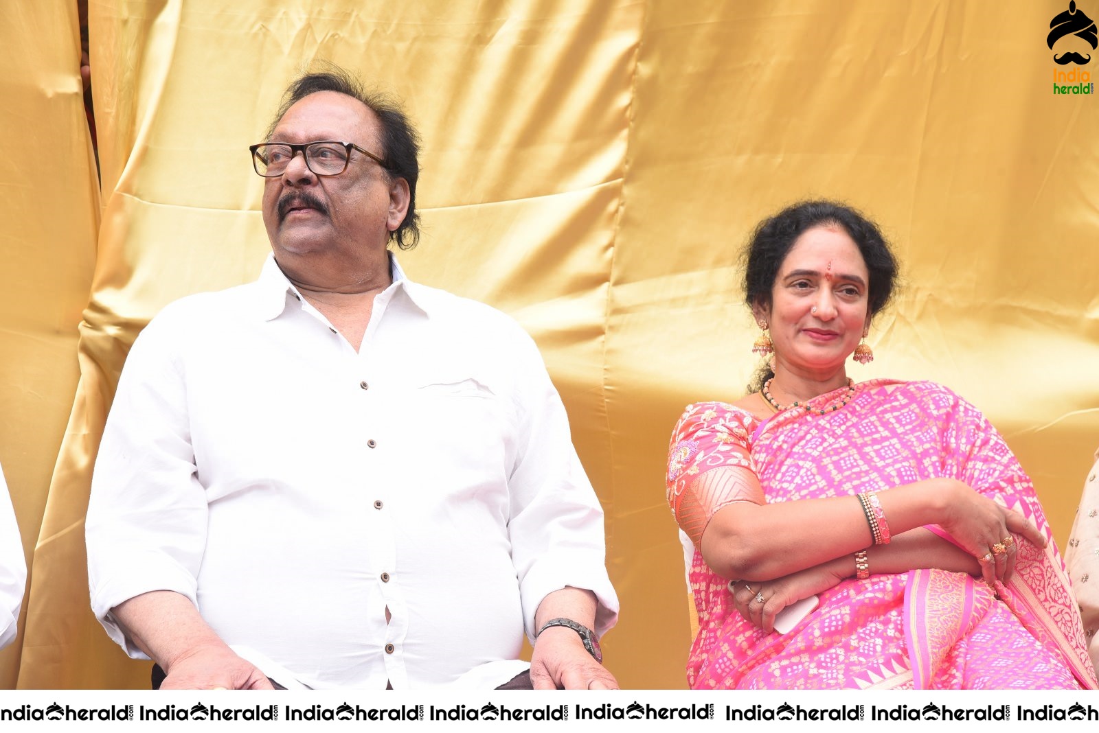 Vijaya Nirmala Statue Inauguration Stills Set 2