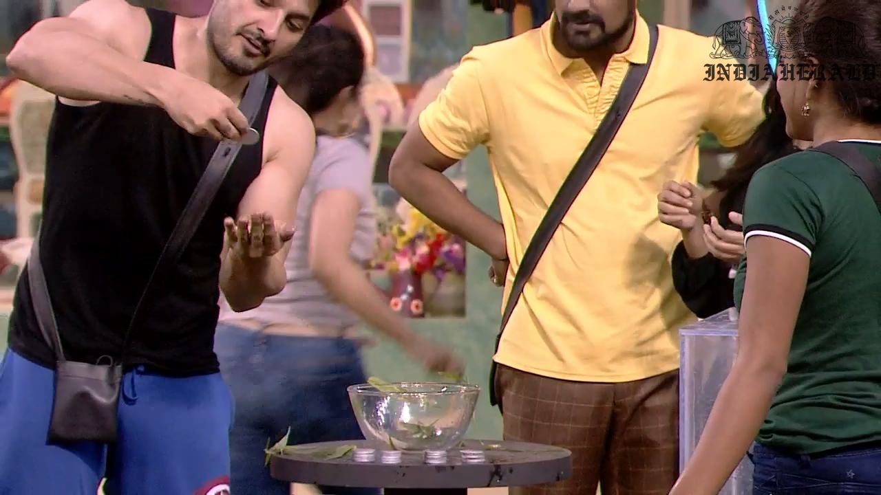 Bigg Boss Telugu Season 3 Day 10 Hot Stills Set 3