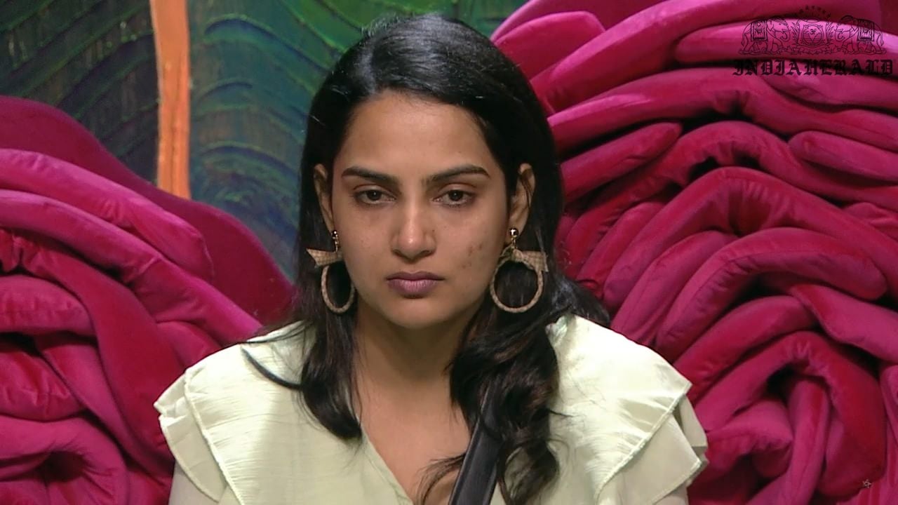 Bigg Boss Telugu Season 3 Day 2 Hot Stills Set 3