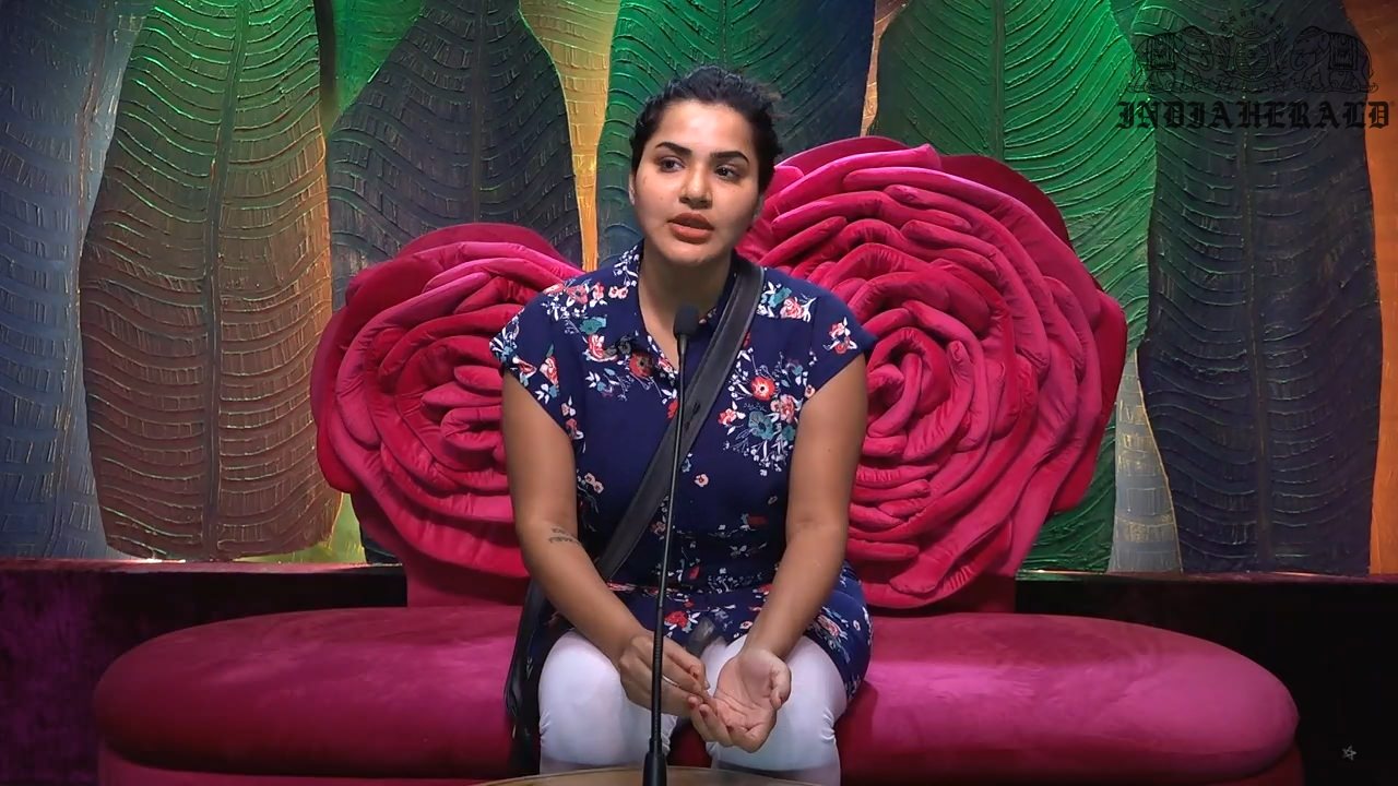 Bigg Boss Telugu Season 3 Day 8 Hot Stills Set 2