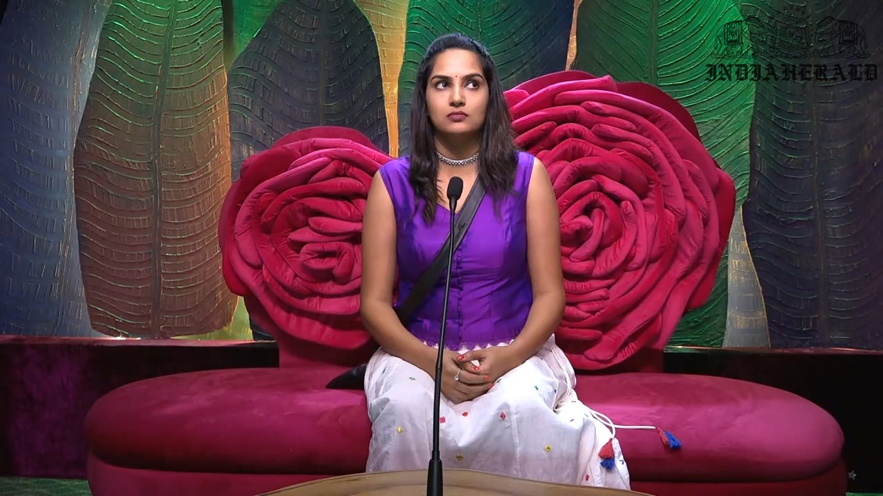 Bigg Boss Telugu Season 3 Day 8 Hot Stills Set 2