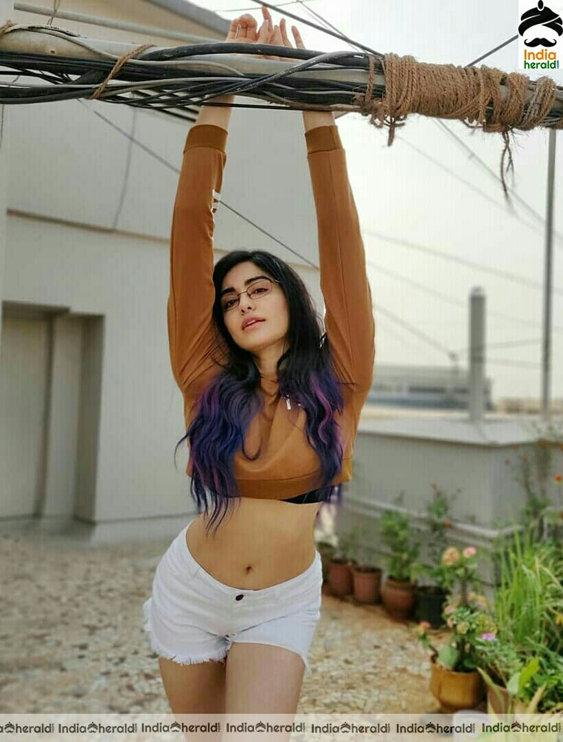 Adah Sharma Shows Her Sexy Waist and Navel In These Photos