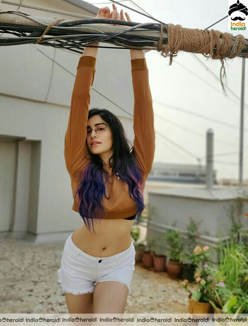 Adah Sharma Shows Her Sexy Waist and Navel In These Photos