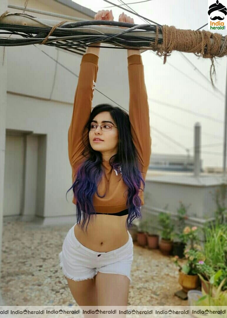 Adah Sharma Shows Her Sexy Waist and Navel In These Photos
