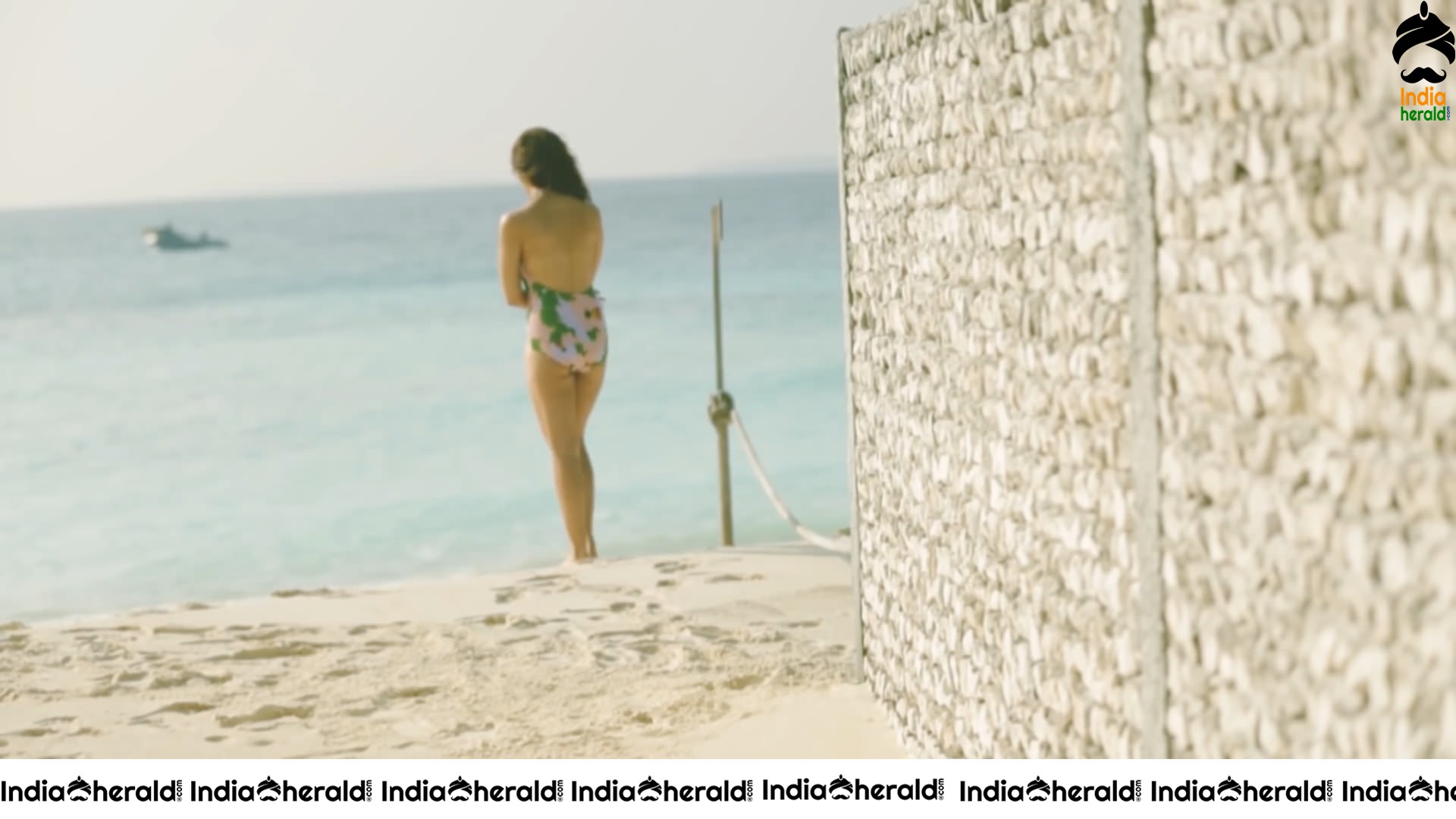 Alia Bhatt Sizzling In Bikini By Beach Side Set 3