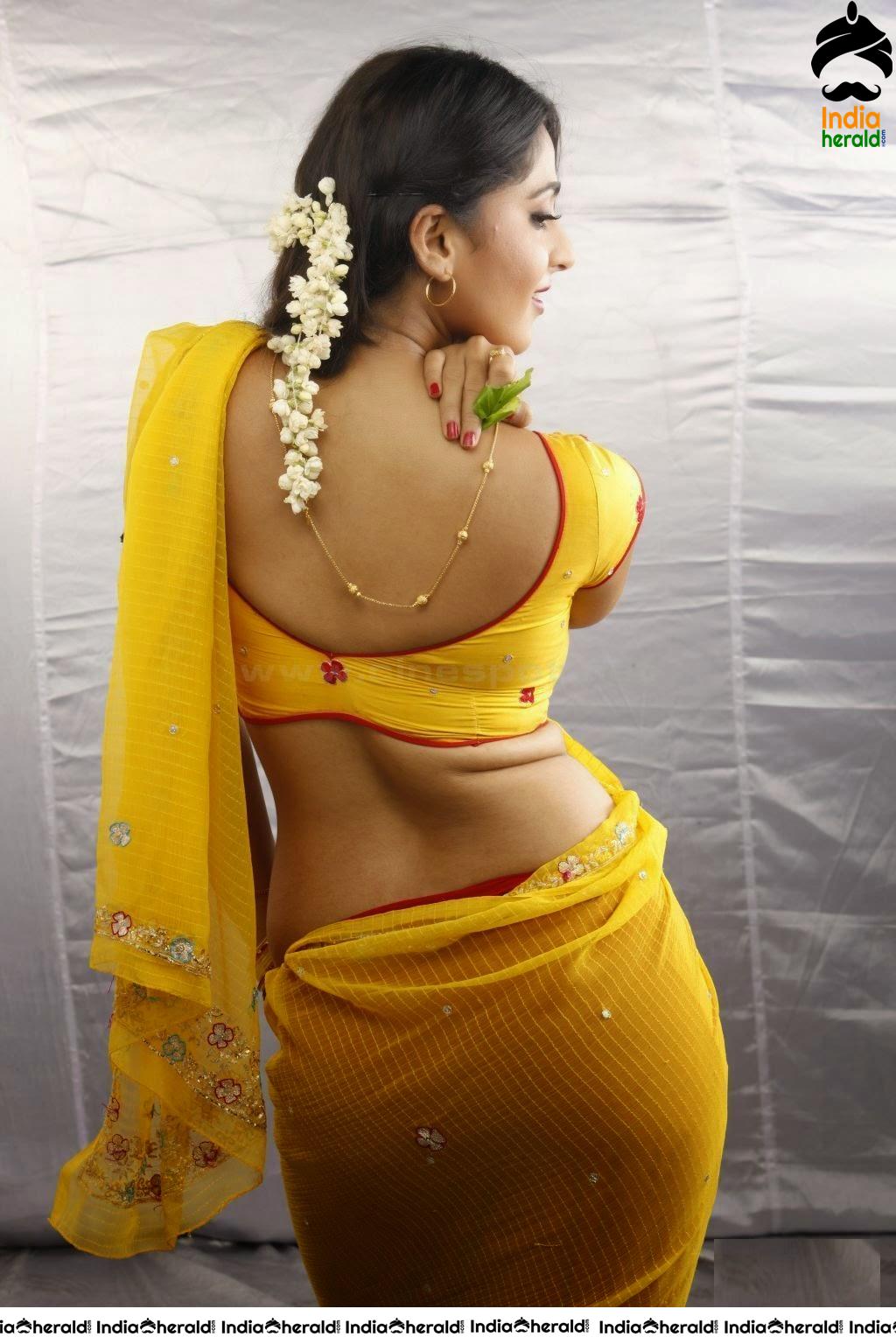 Anushka Shetty Hot Photos Collection Exposing Teasing Curves Navel and Cleavage Set 7