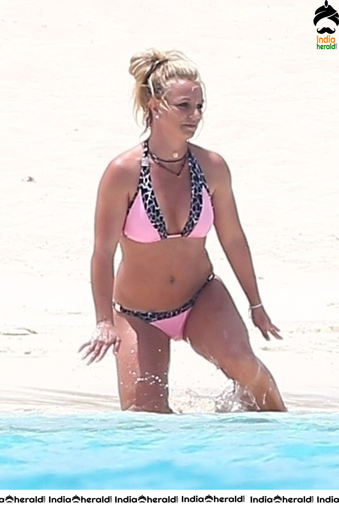 a sample image