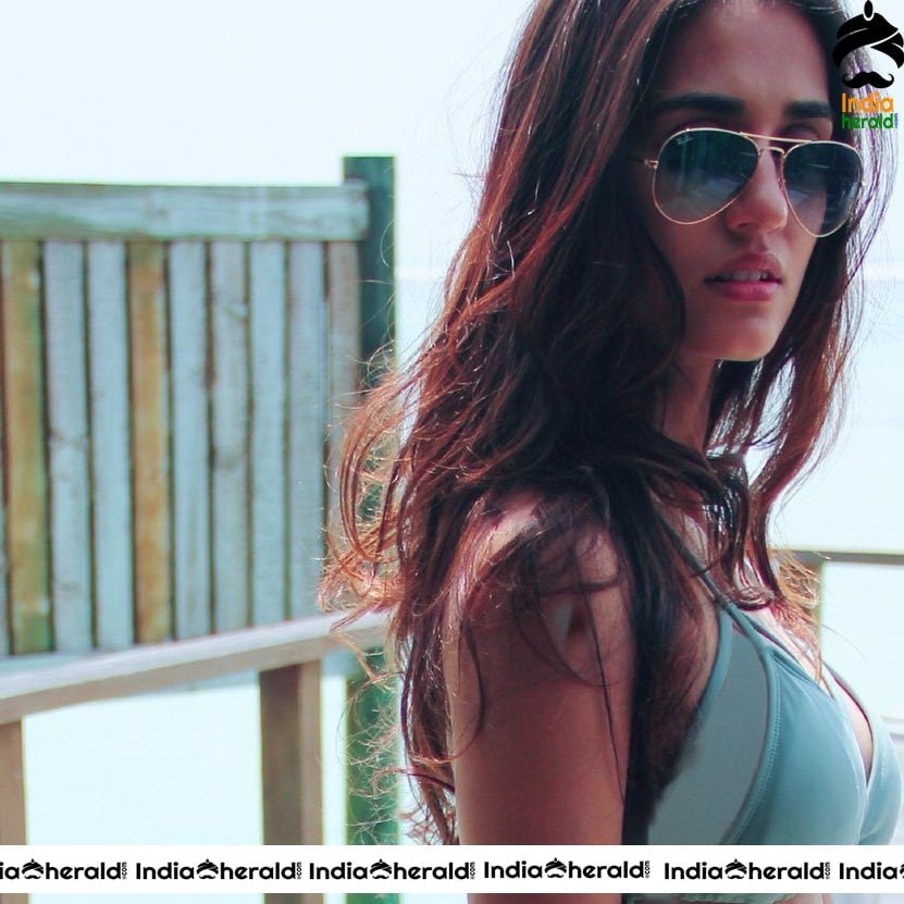 Disha Patani Hot Exposing Photos flaunting her Body Assets
