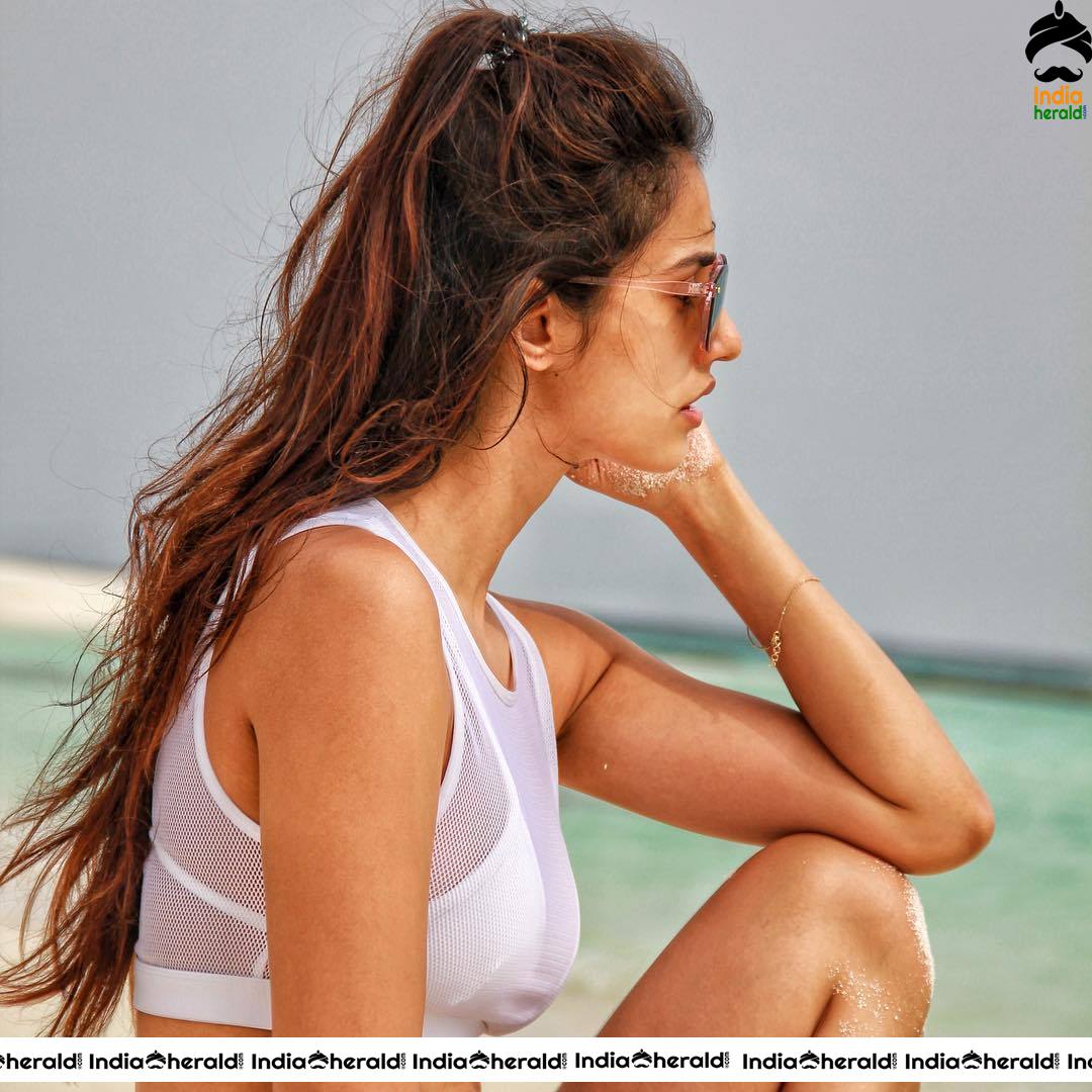 Disha Patani Hot Exposing Photos flaunting her Body Assets