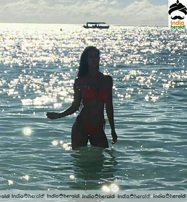 Disha Patani Hot Red Latest Bikini Stills