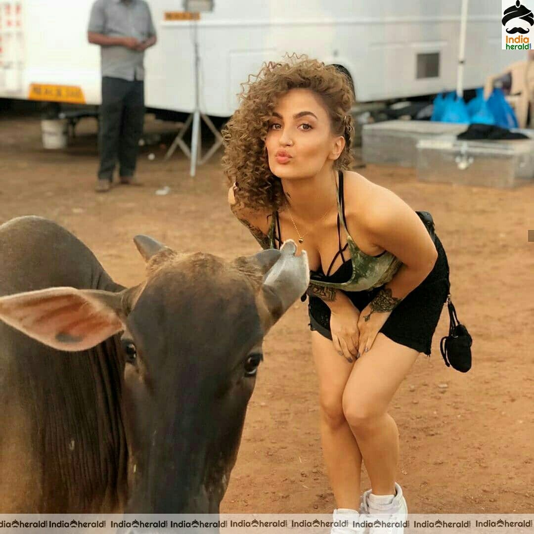 Elli Avram Hot Latest Stills