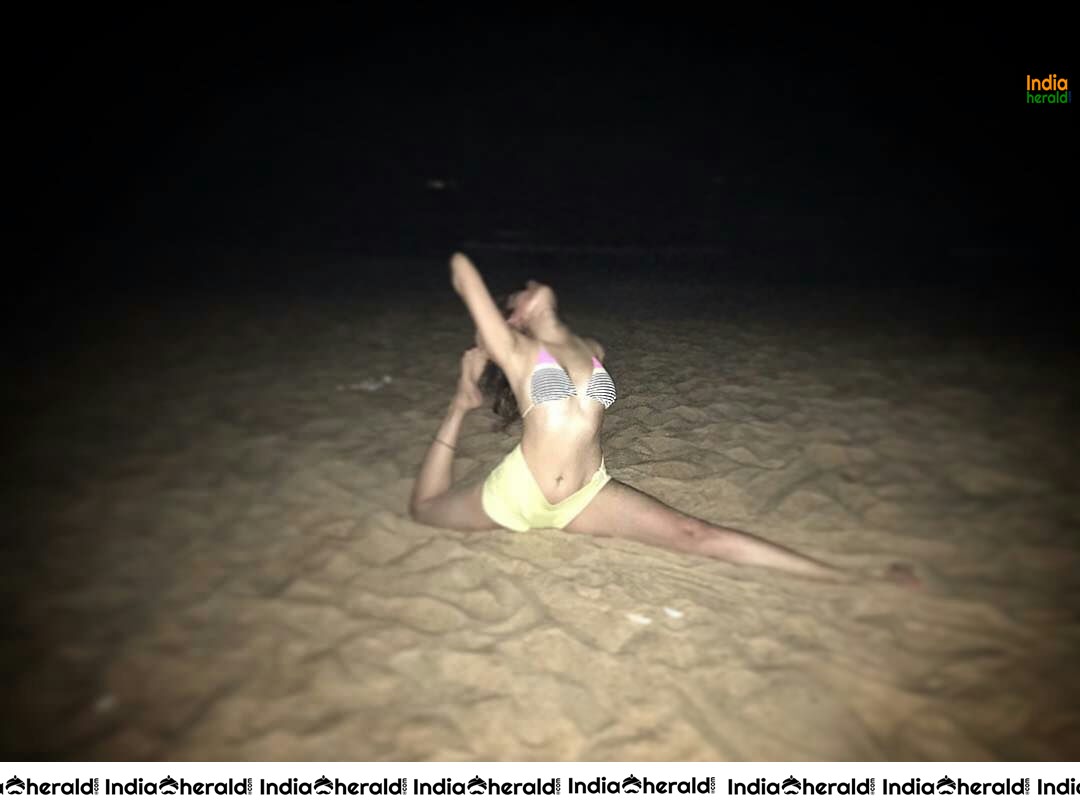 Hot Tempting Bikini Photos of Desi Beauty Actress Vidya Malvade Set 4