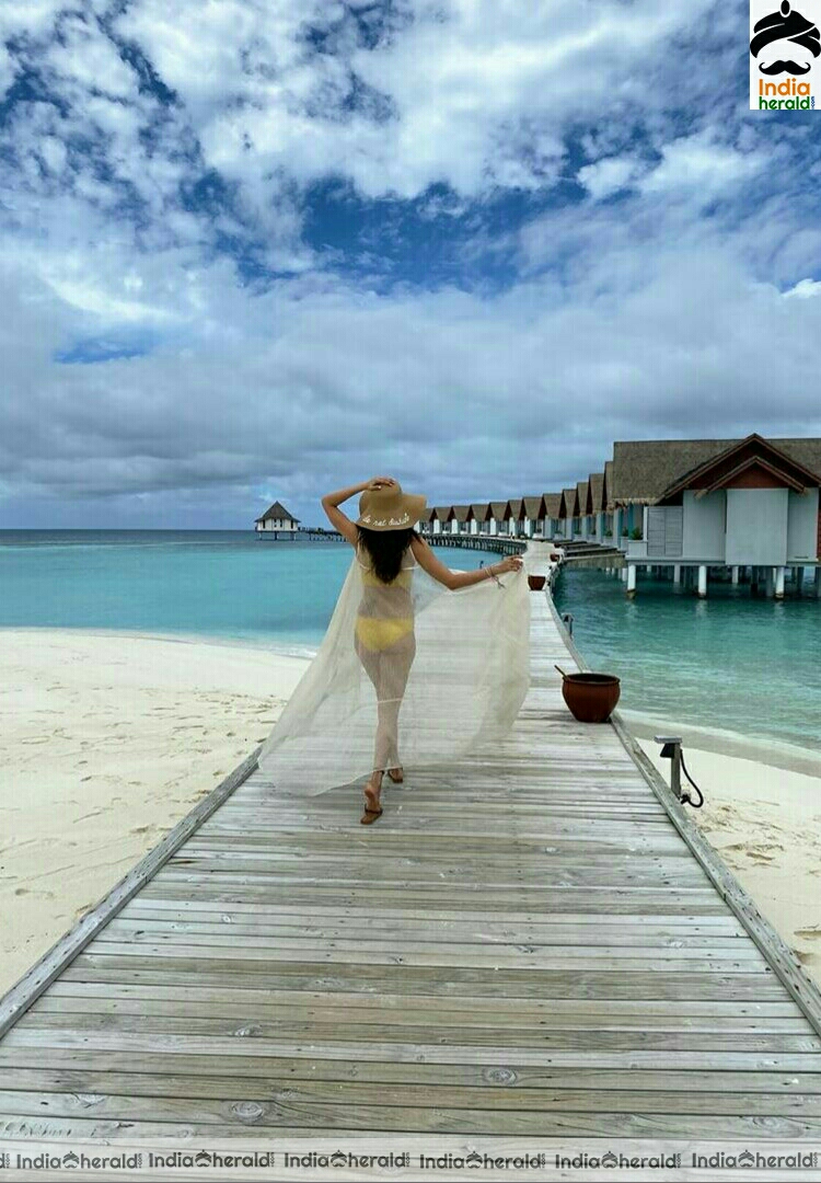 Karishma Tanna Hot Yellow Bikini Stills