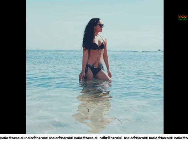 Krishna Shroff Hot Bikini Photos Collection