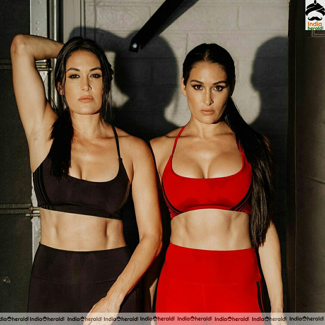 Nikki bella sizzling hot compilation photo stills