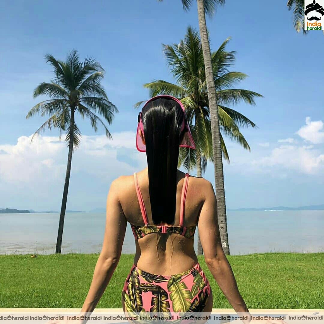 Nushrat Bharucha Latest Hot Bikini Clicks