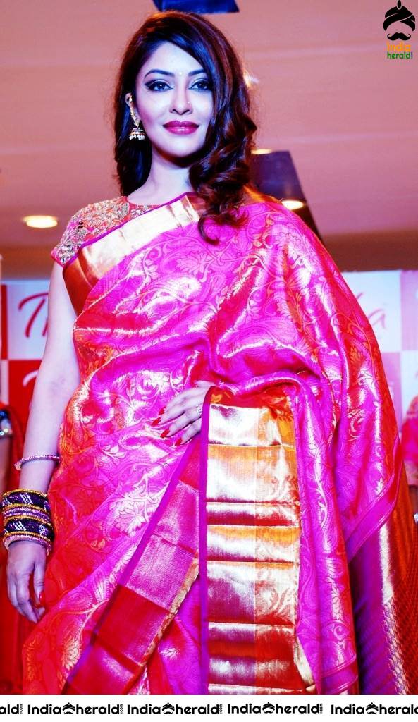 Payal Ghosh Hot Photos Compilation to tease your temptations Set 2
