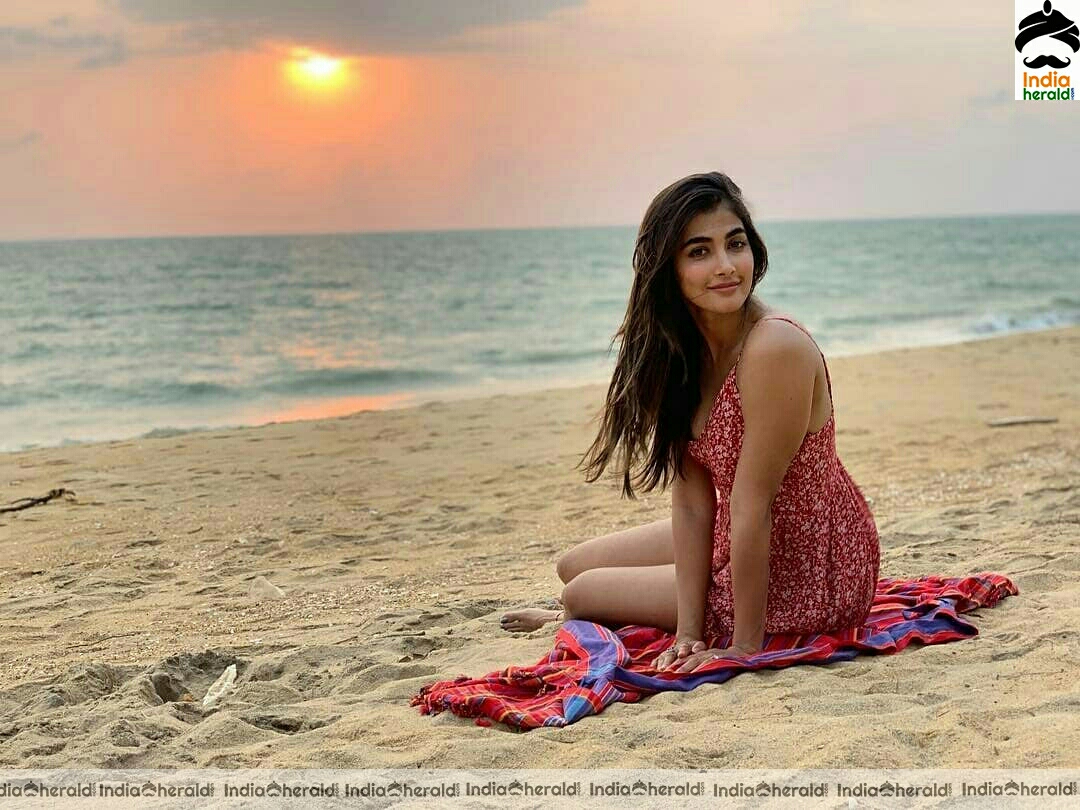 Pooja Hegde Hot Sizzling Stills