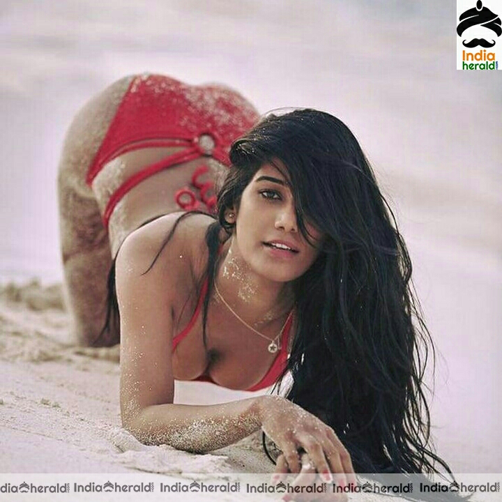 Poonam Pandey Hottest bikini photos to tease our mood