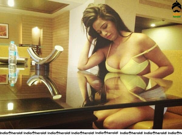 Poonam Pandey Hottest Exposing Bikini Photos Set 1