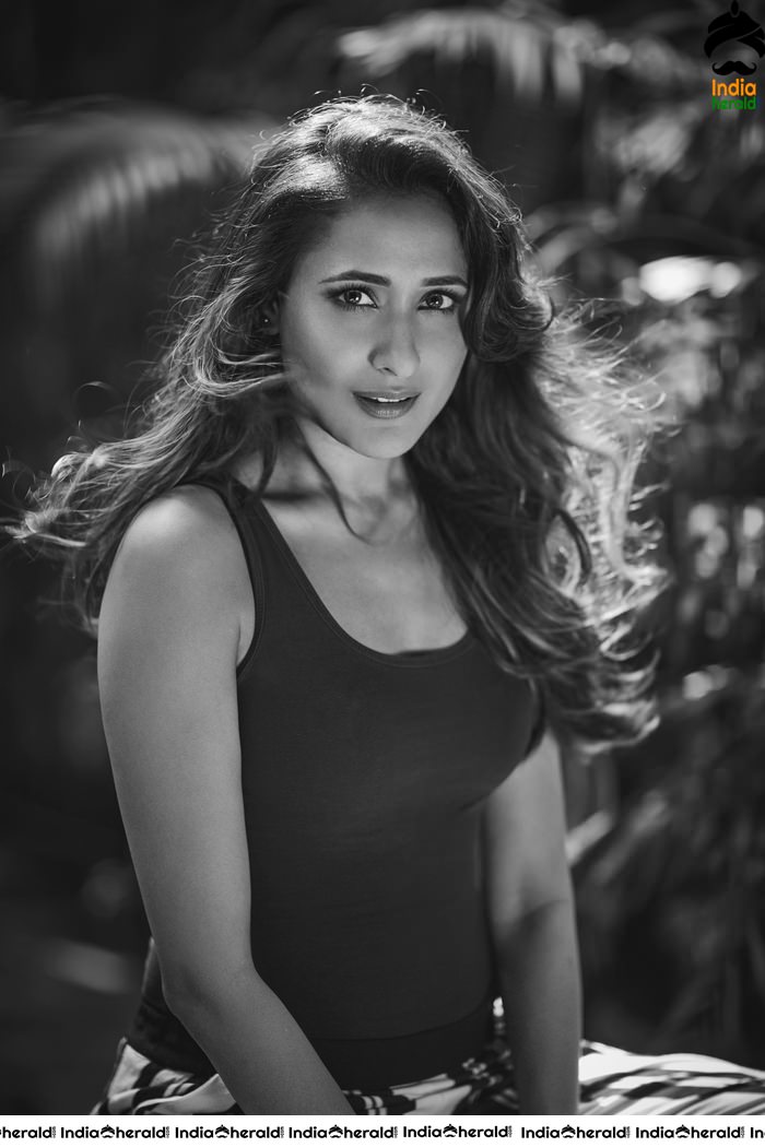 Pragya Jaiswal Hot Photoshoot Clicks