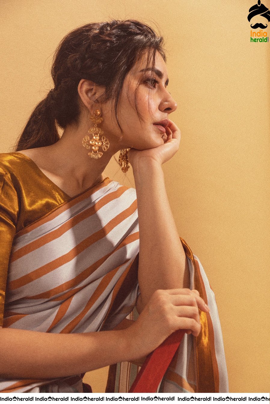 Raashi Khanna Seducing in Saree