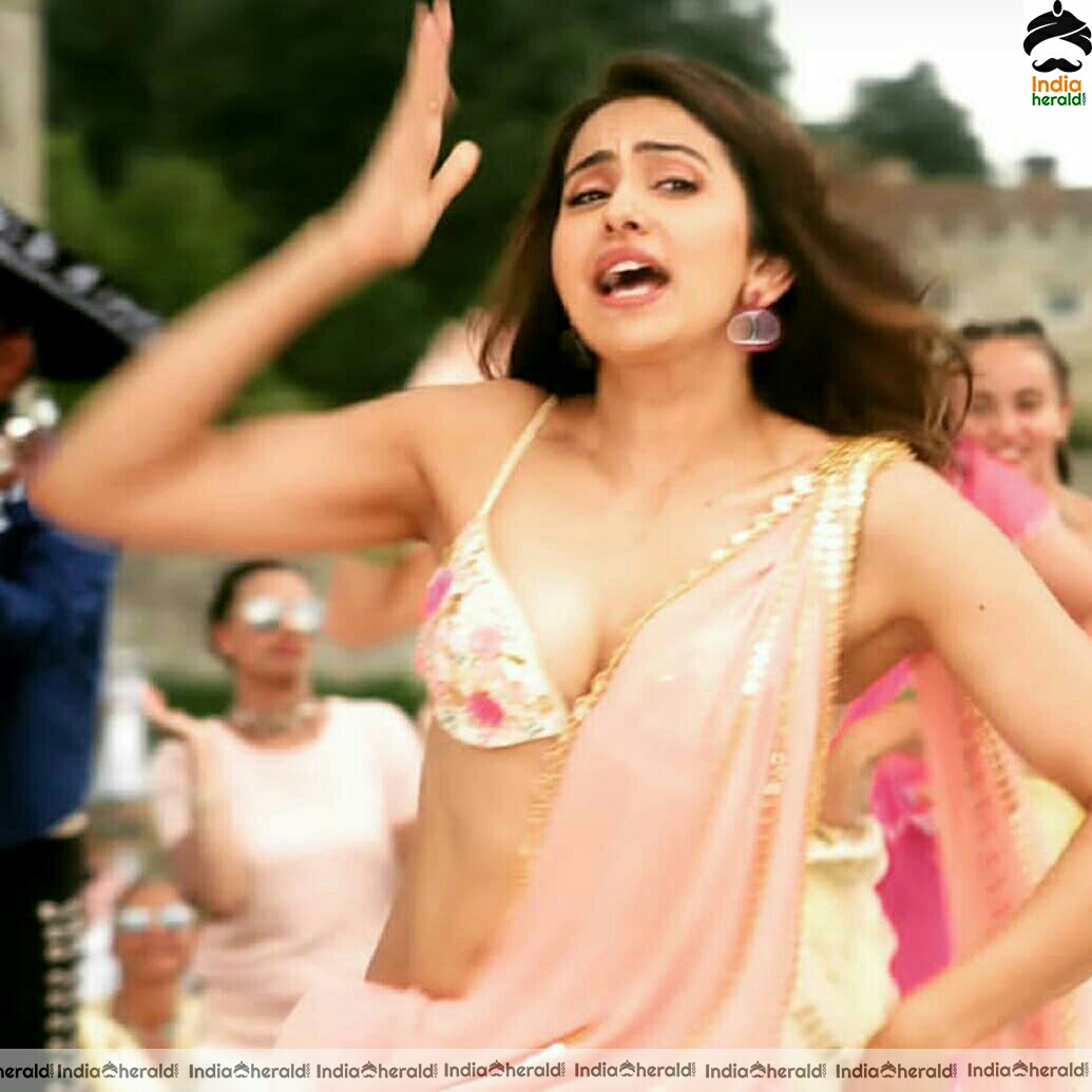 Rakul Preet in saree and brassiere kinda blouse exposing her inner beauty