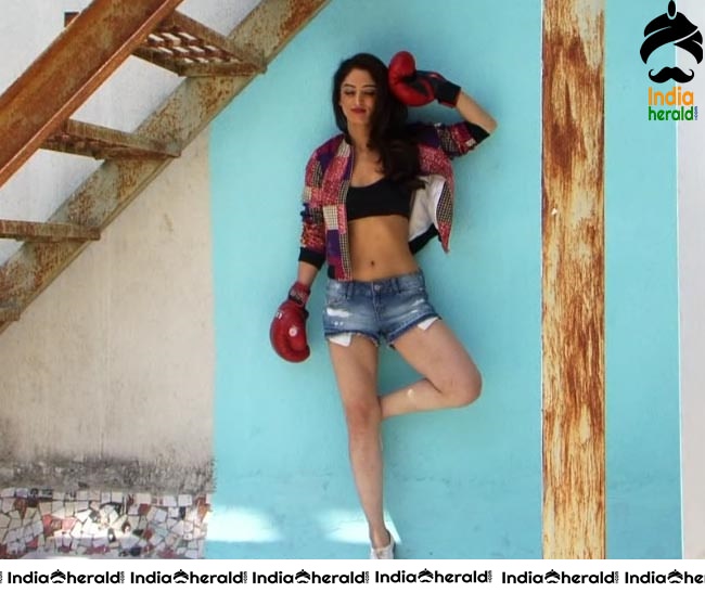 Sandeepa Dhar Hot Photos Collection Set 3