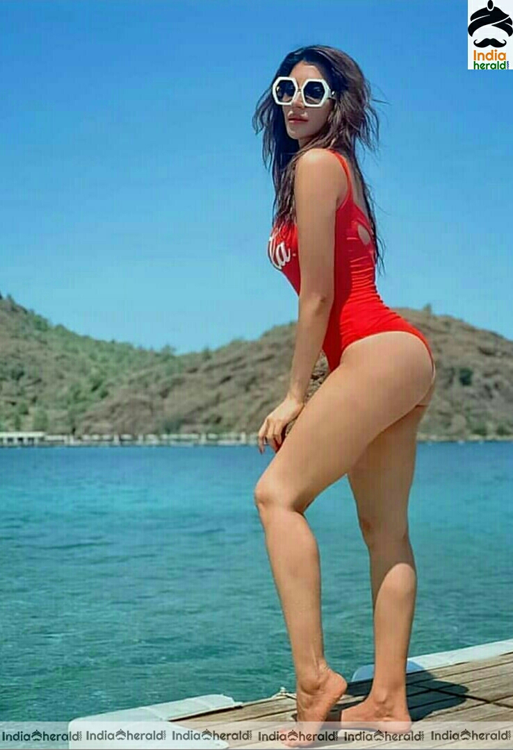 Shama Sikander Hot Sizzling Stills