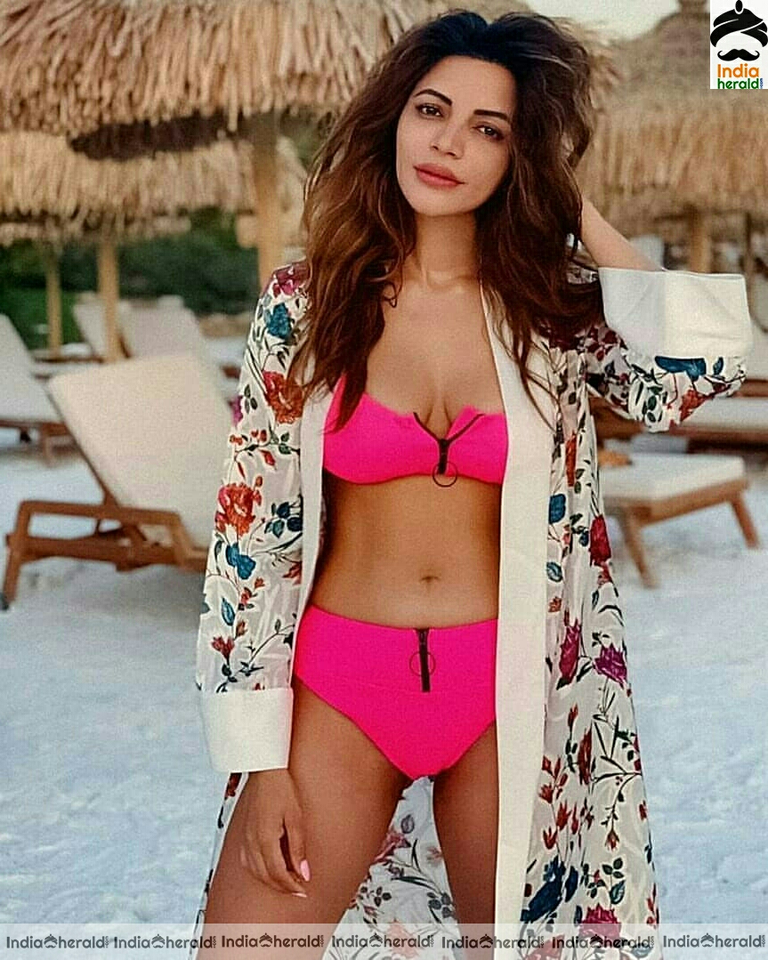 Shama Sikander Hot Sizzling Stills