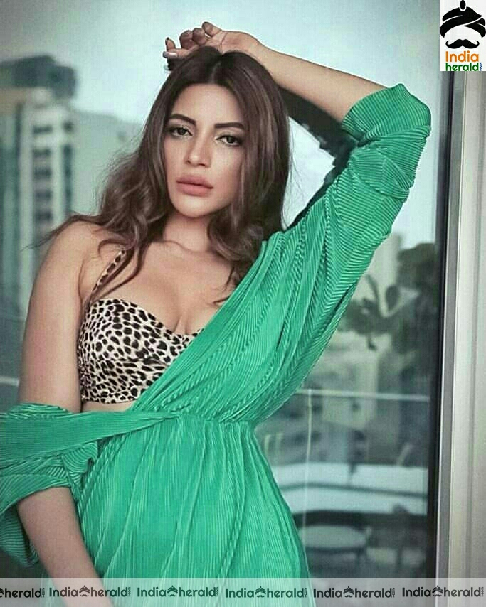 Shama Sikander Hot Sizzling Stills