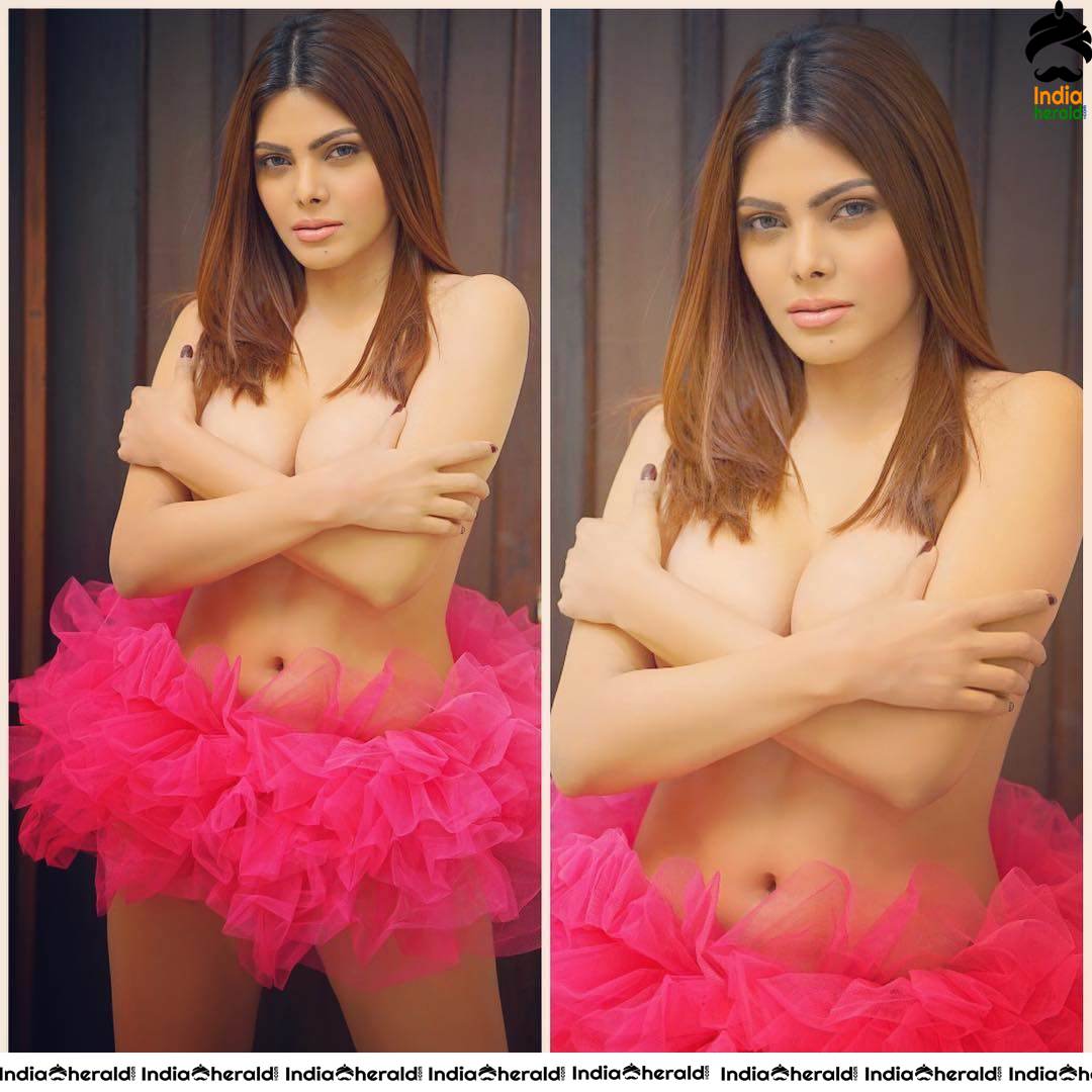 Sherlyn Chopra Topless and Too Much Exposing Hot and Tempting Photos