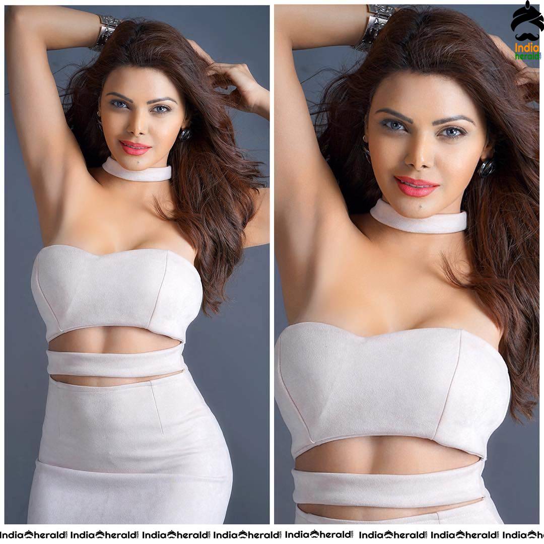 Sherlyn Chopra Topless and Too Much Exposing Hot and Tempting Photos