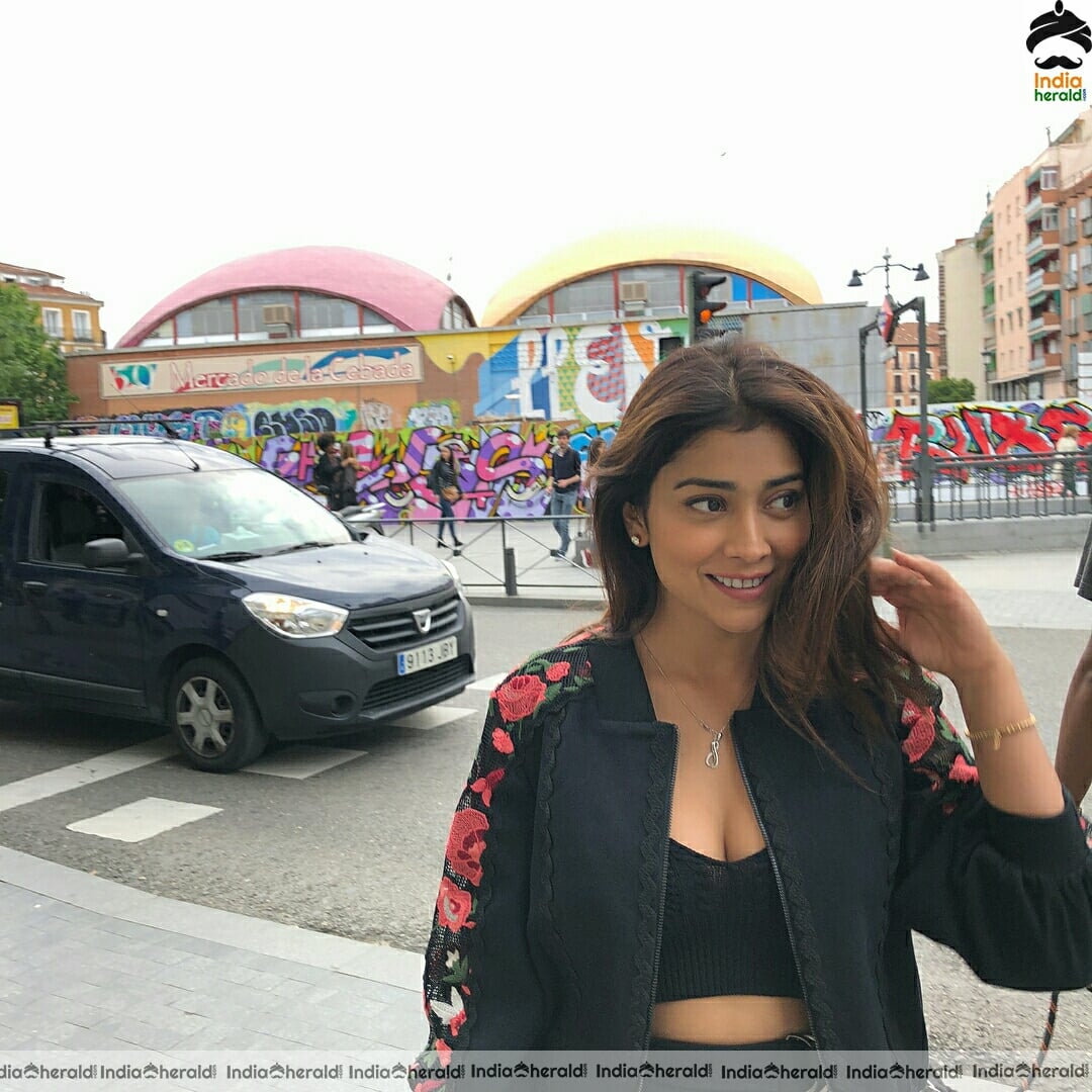 Shriya Saran Hot Sizzling Photo Stills