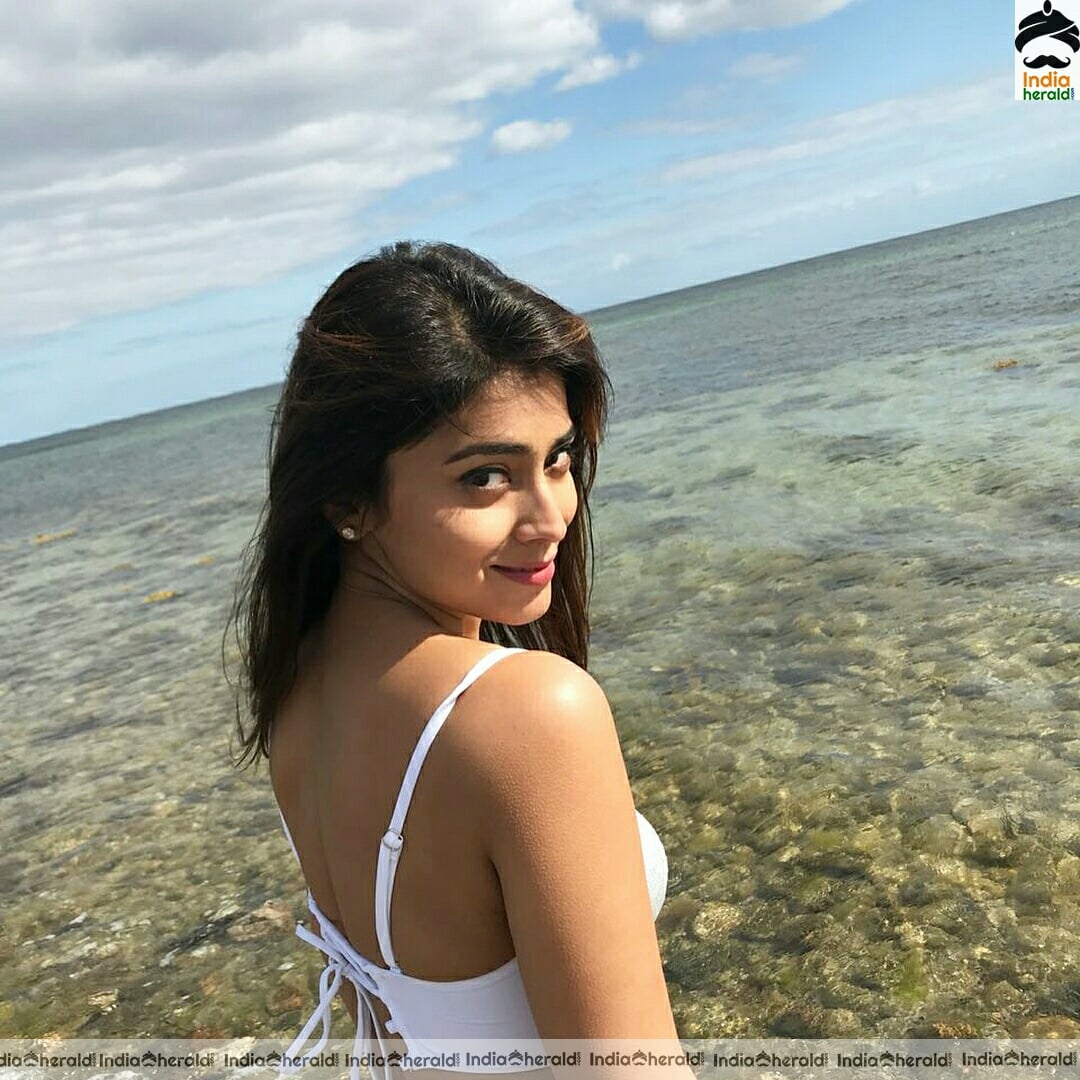 Shriya Saran Hot Sizzling Photo Stills