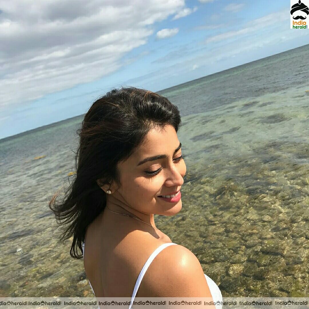Shriya Saran Hot Sizzling Photo Stills