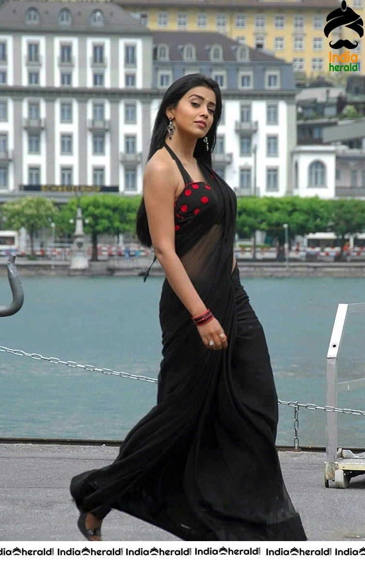 Shriya Saran Vintage Hot Saree Clicks flaunting her Midriff in Sleeveless Blouse