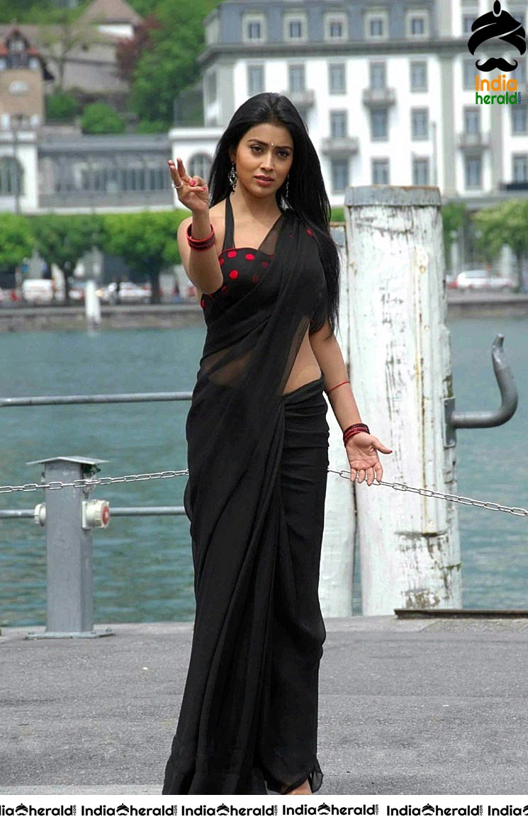 Shriya Saran Vintage Hot Saree Clicks flaunting her Midriff in Sleeveless Blouse
