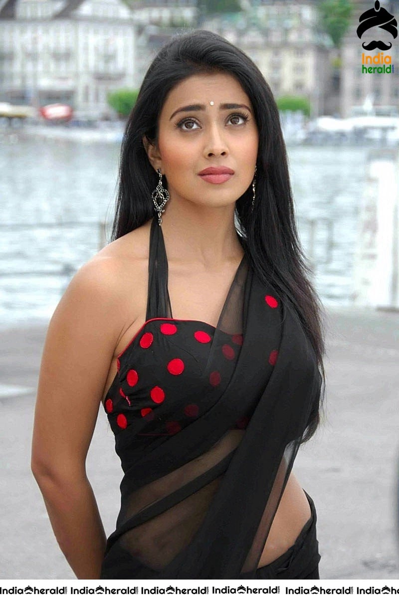 Shriya Saran Vintage Hot Saree Clicks flaunting her Midriff in Sleeveless Blouse